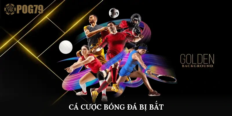 cá cược bóng đá bị bắt