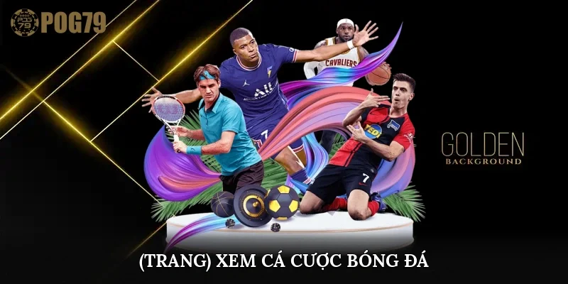 trang xem cá cược bóng đá