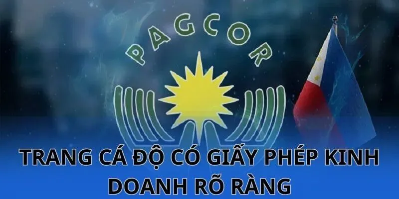 Vì sao nên lựa chọn website cá độ uy tín?